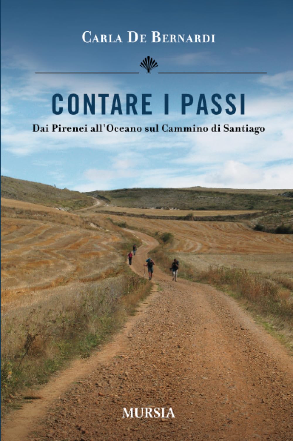 Contare i passi: Dai Pirenei all’Oceano sul Cammino di Santiago (Viaggi, scoperte e tradizioni) Leisure, Home & Garden