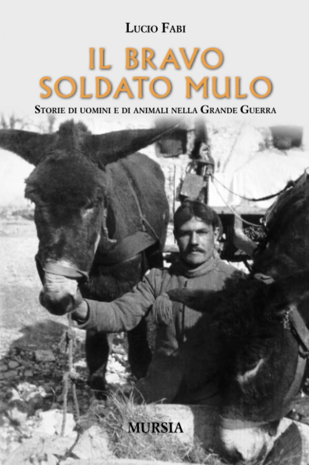 Il bravo soldato mulo: Storie di uomini e di animali nella Grande Guerra (1914-1918. Prima guerra mondiale) Politics & History