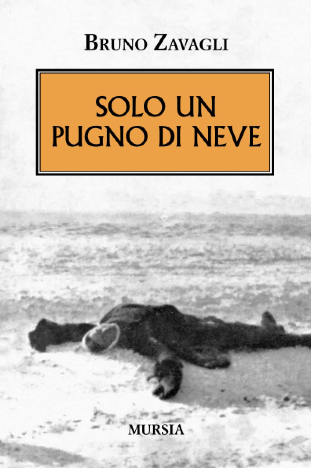 Solo un pugno di neve book