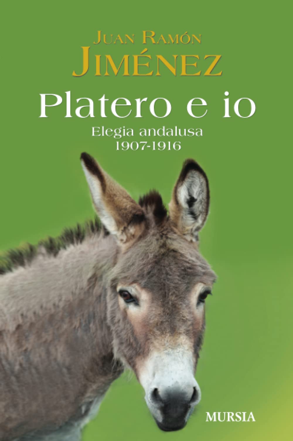 Platero e io: Elegia andalusa. 1907-1916 book