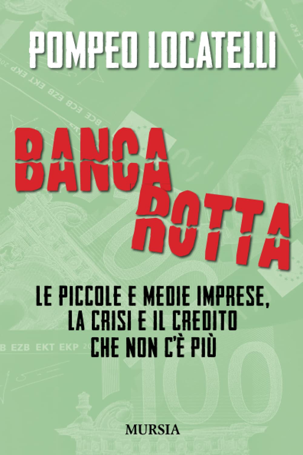 Bancarotta: Le piccole e medie imprese, la crisi e il credito che non c’è più book