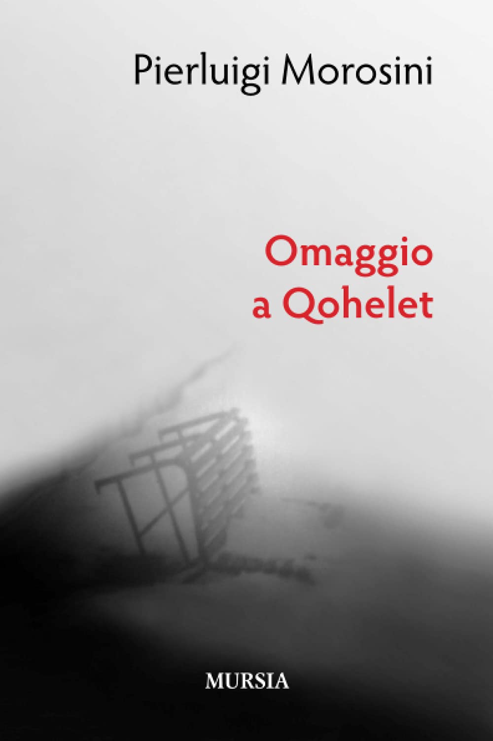 Omaggio a Qohelet (Memoirs Poesia) Poetry