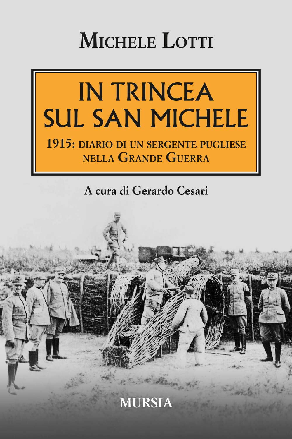 In trincea sul San Michele: 1915: diario di un sergente pugliese nella Grande Guerra book