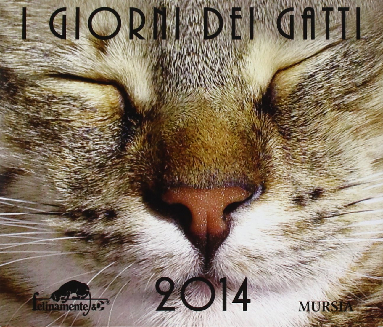 I Giorni dei gatti. Calendario da tavolo 2014 Books
