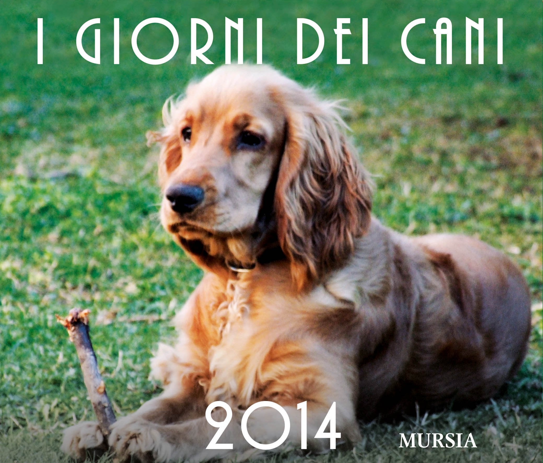 I Giorni dei cani. Calendario da tavolo 2014 Books