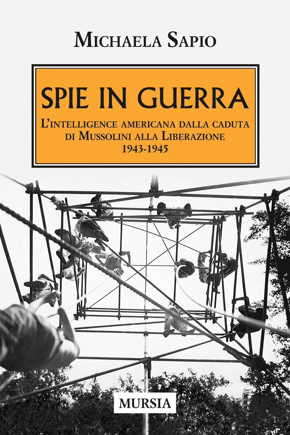 Spie in guerra. L'intelligence americana dalla caduta di Mussolini alla Liberazione. 1943-1945 book
