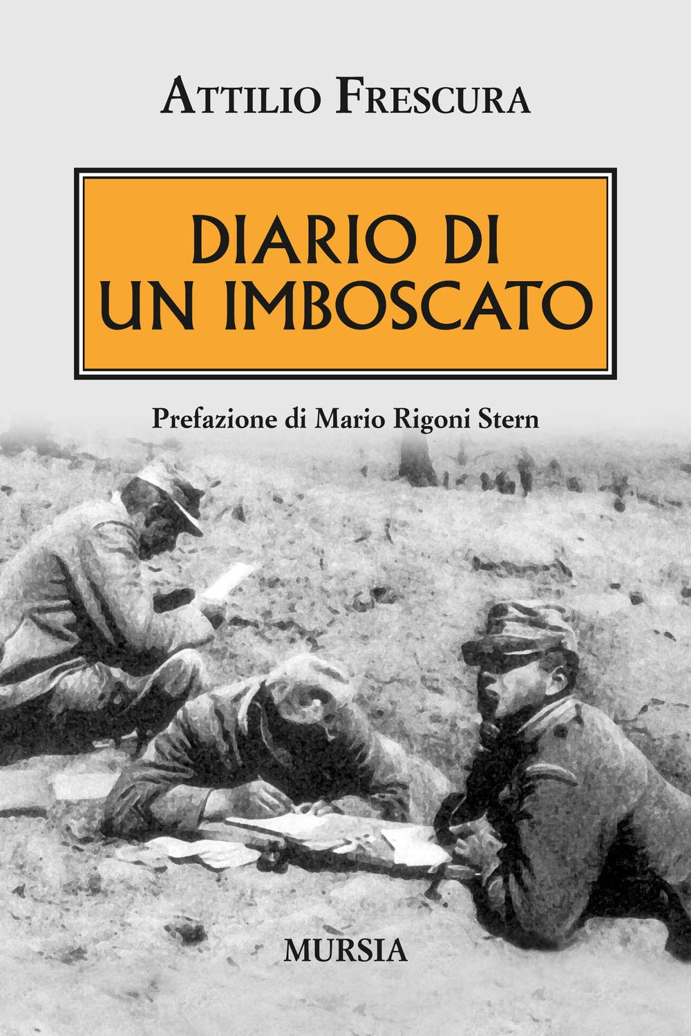 Diario di un imboscato: Prefazione di Mario Rigoni Stern book