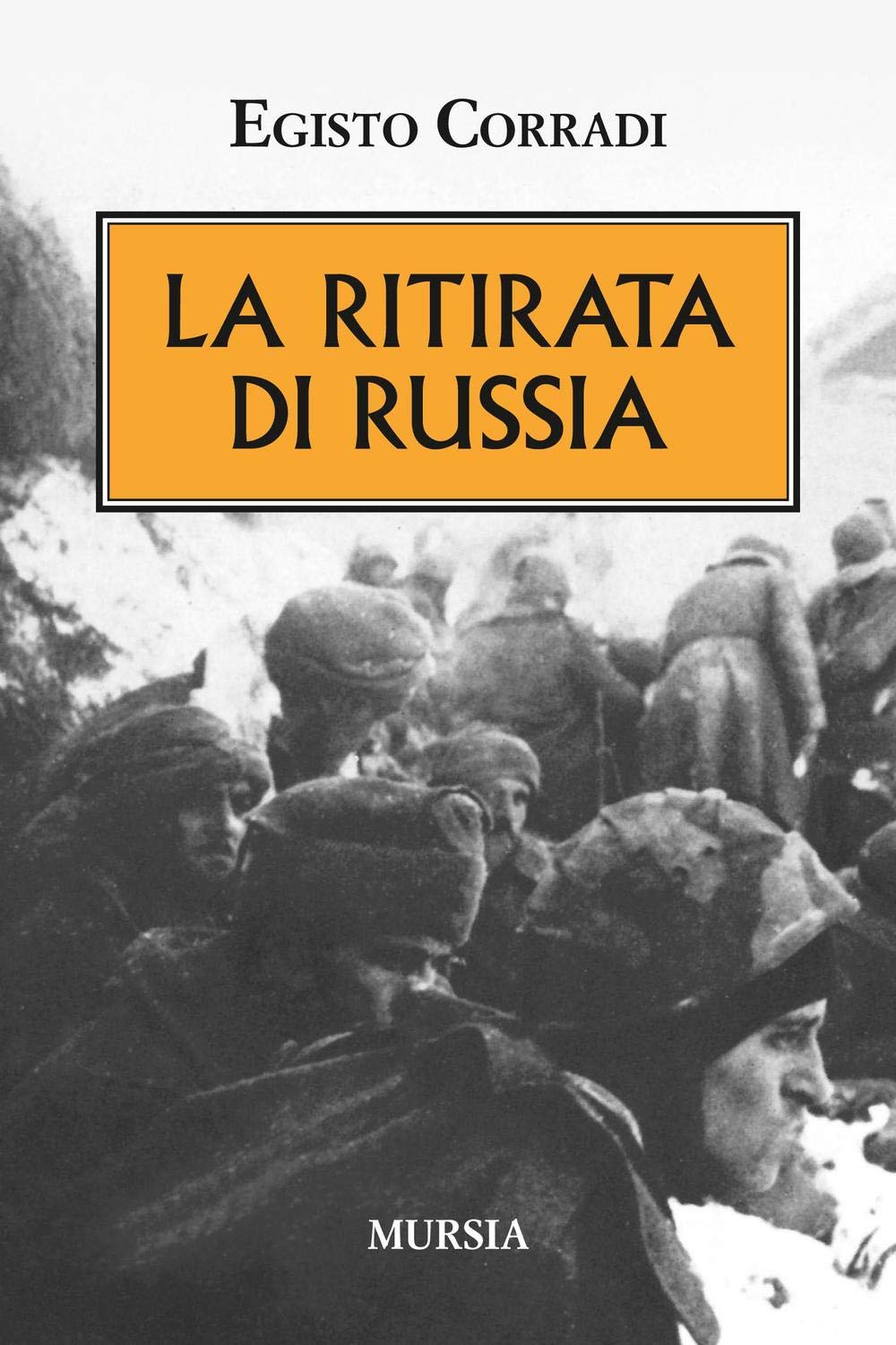 La ritirata di Russia book