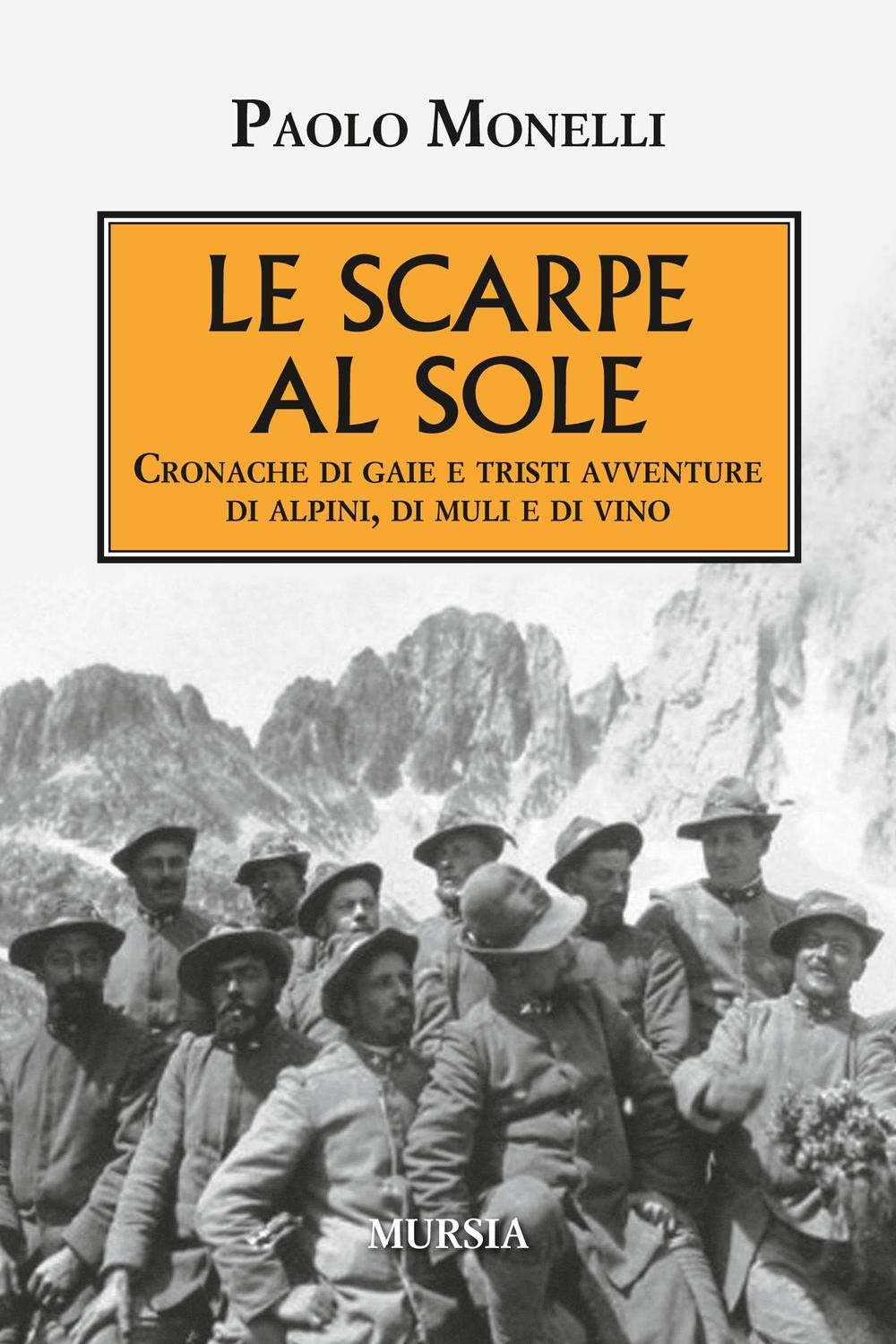 Le scarpe al sole: Cronache di gaie e tristi avventure di alpini, di muli e di vino book