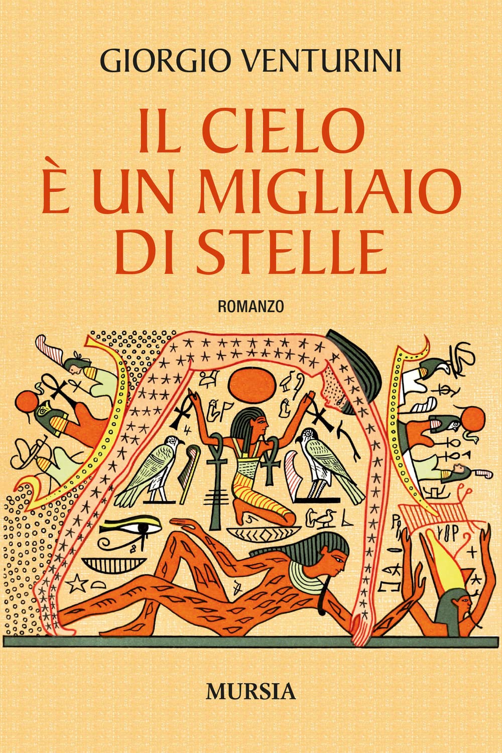 Il cielo è un migliaio di stelle book