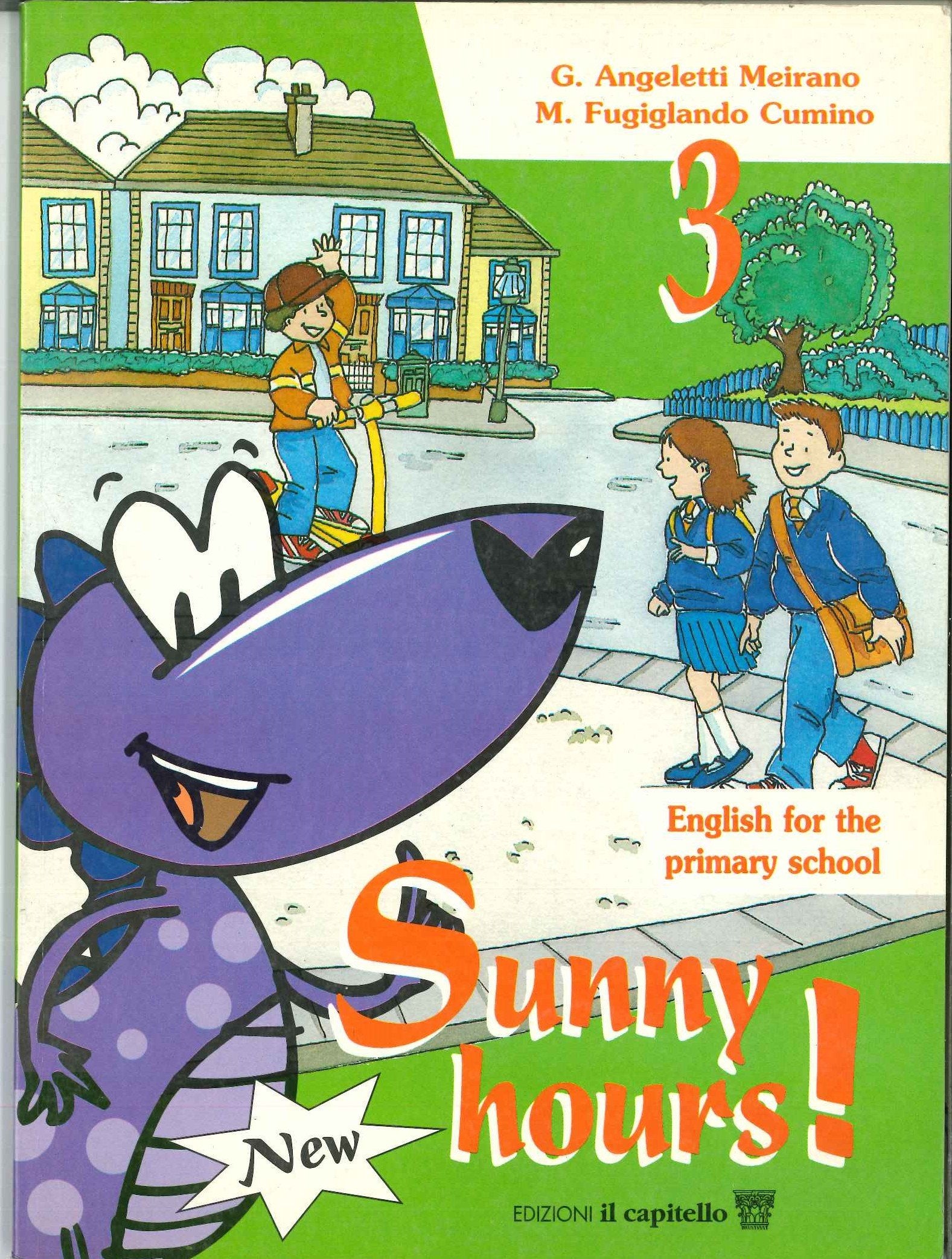 New Sunny hours! Per la 3ª classe elementare book
