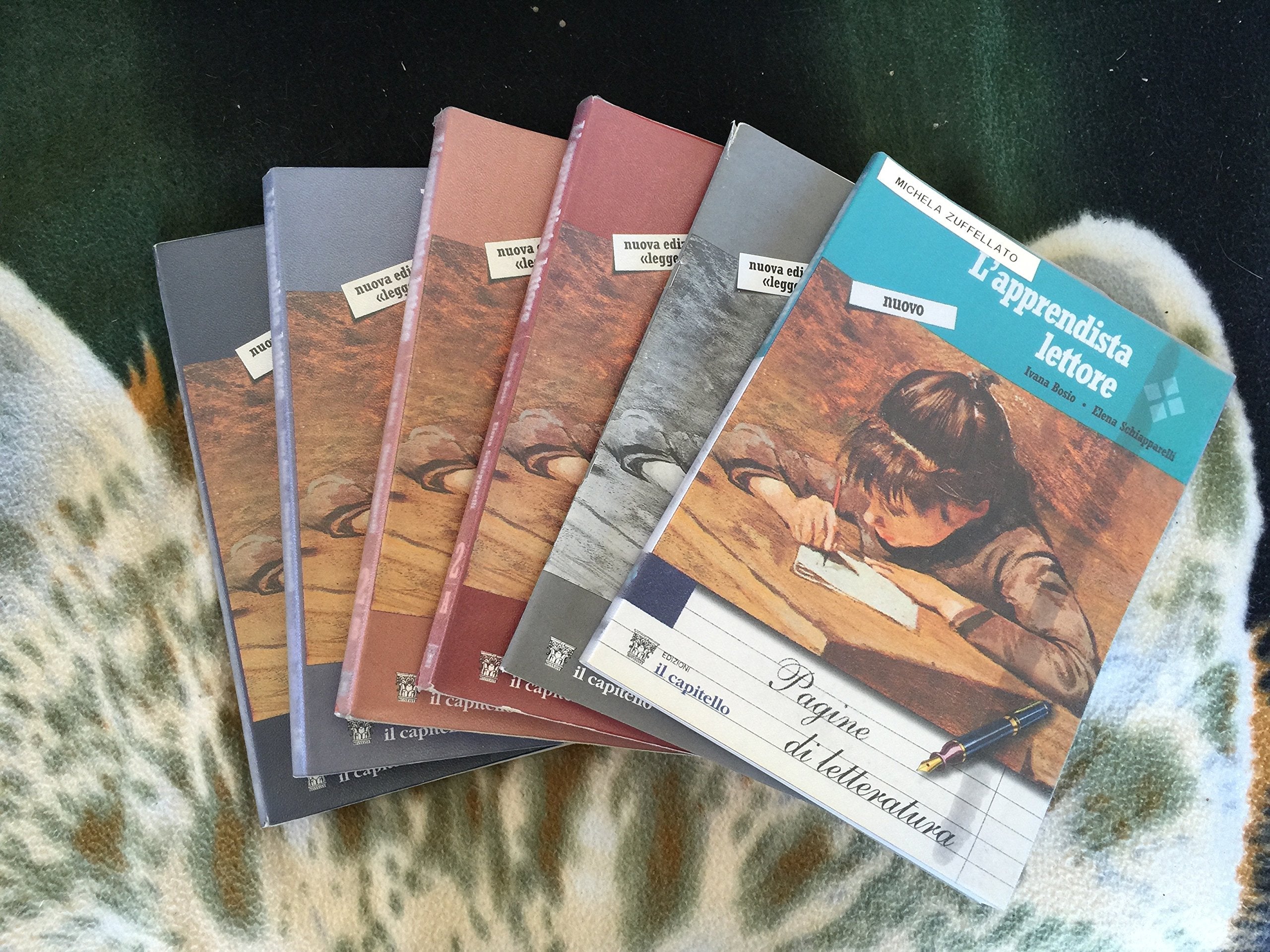 Il nuovo Apprendista lettore. Leggere, capire, esprimere. Ediz. leggera. Per la Scuola media (Vol. 2) Study Guides