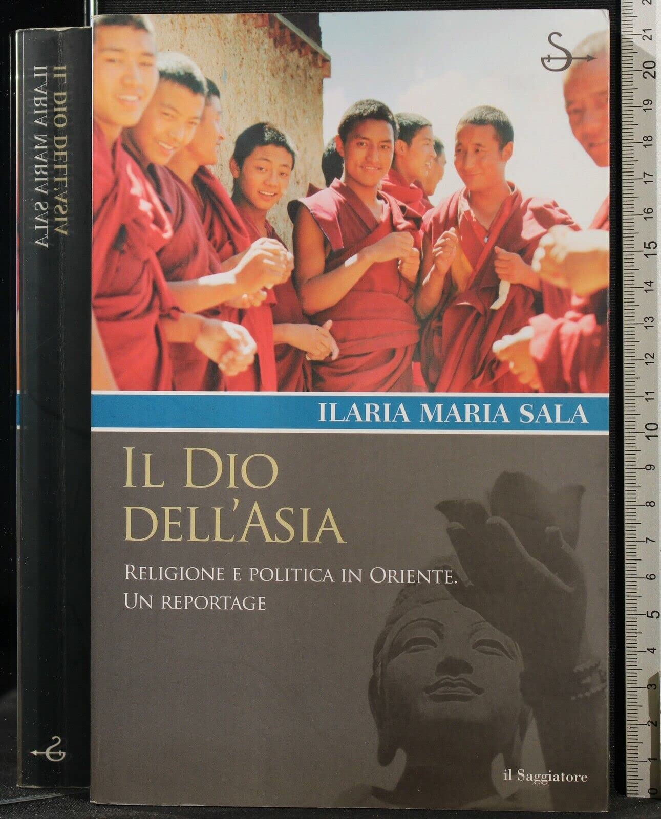 Il dio dell'Asia. Religione e politica in Oriente. Un reportage (Terre. Idee) Religion & Esotericism