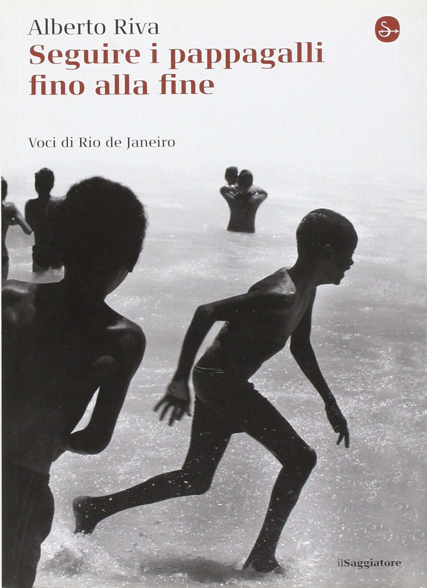 Seguire i pappagalli fino alla fine. Voci di Rio de Janeiro book