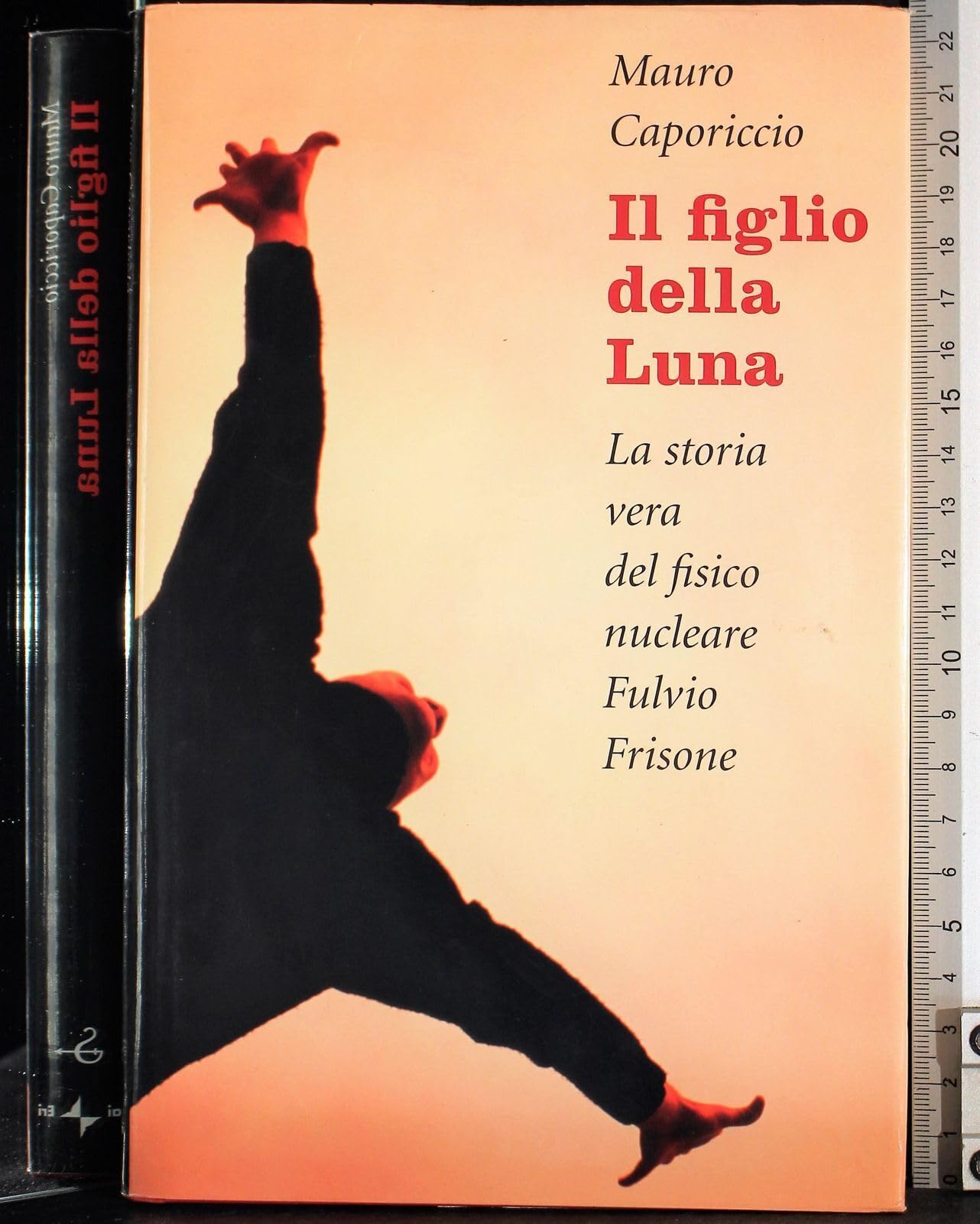 Il figlio della Luna. La vera storia del fisico nucleare Fulvio Frisone book