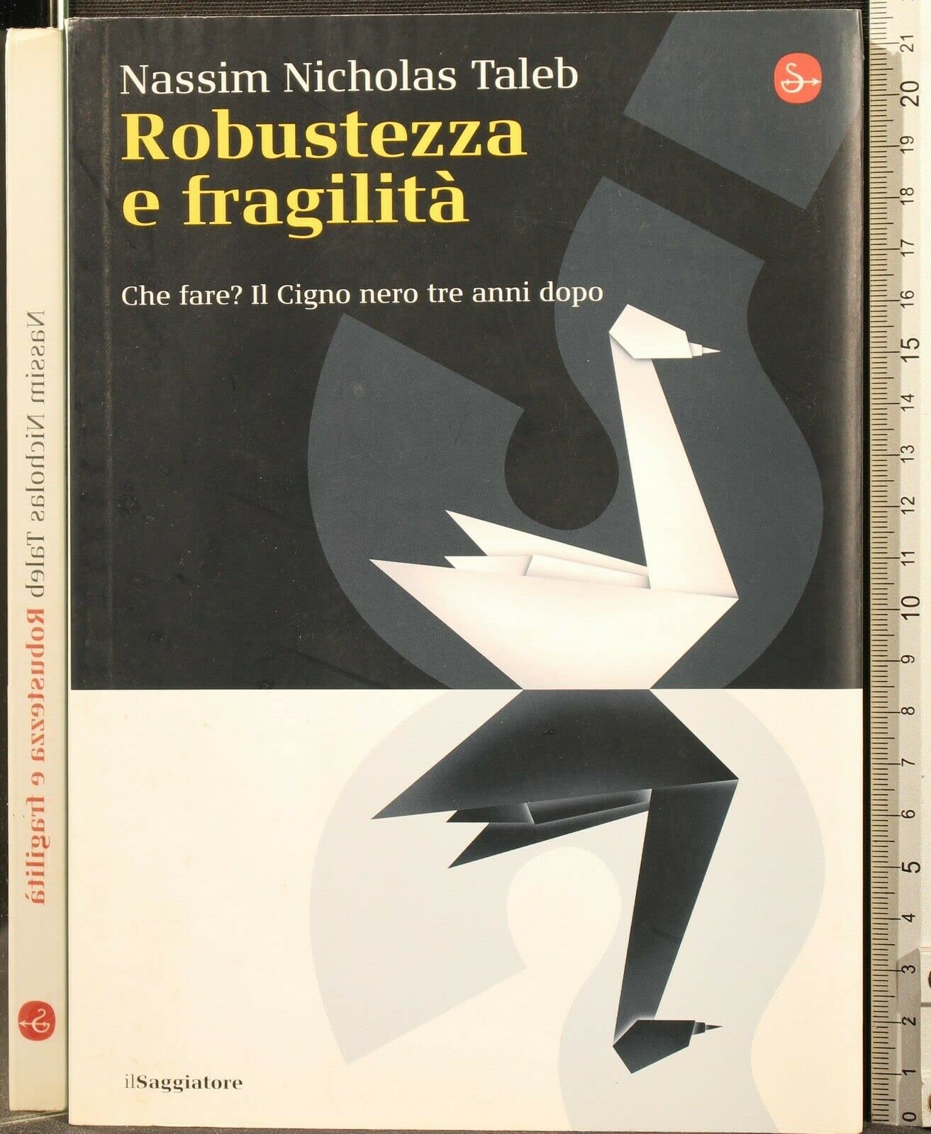 Robustezza e fragilità. Che fare? Il Cigno nero tre anni dopo book
