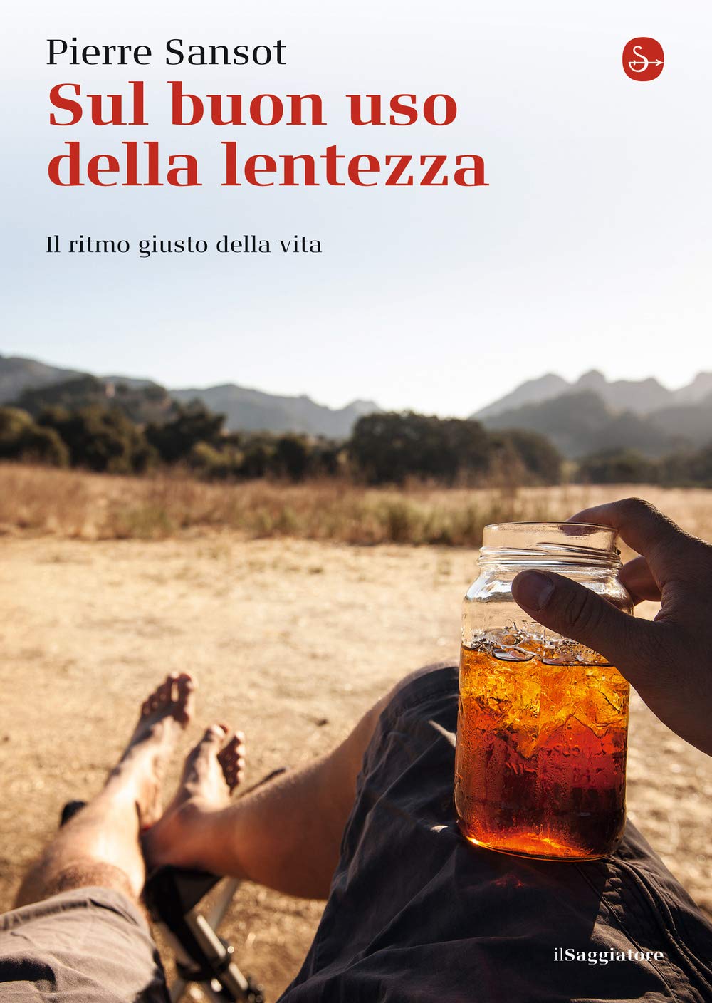 Sul buon uso della lentezza. Il ritmo giusto della vita book