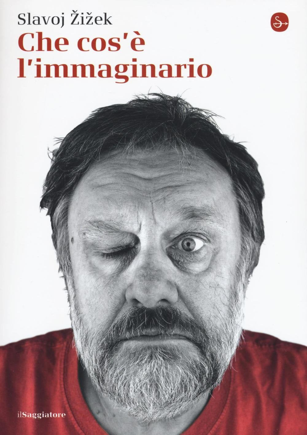 Che cos'è l'immaginario book