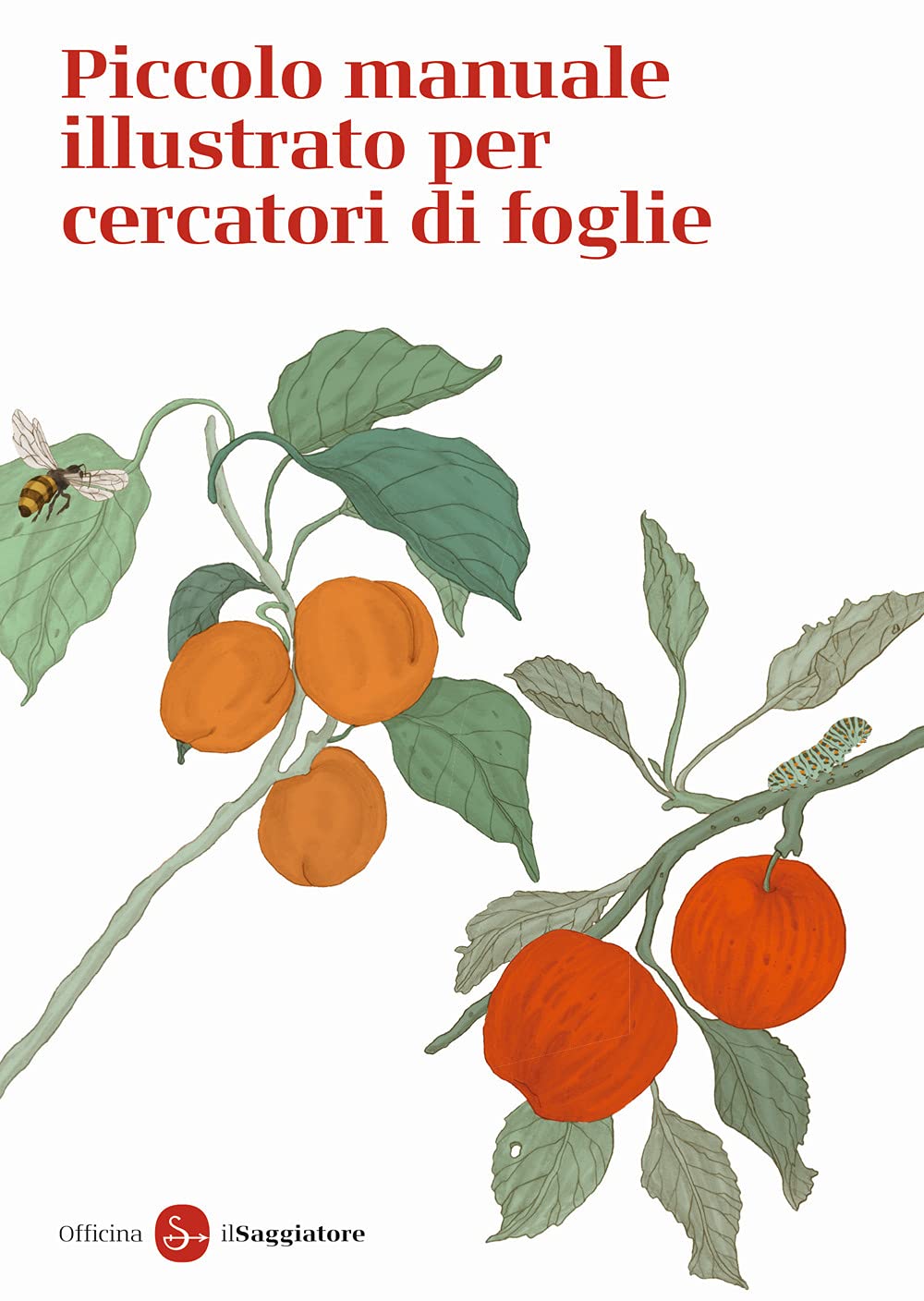 Piccolo manuale illustrato per cercatori di foglie Leisure, Home & Garden