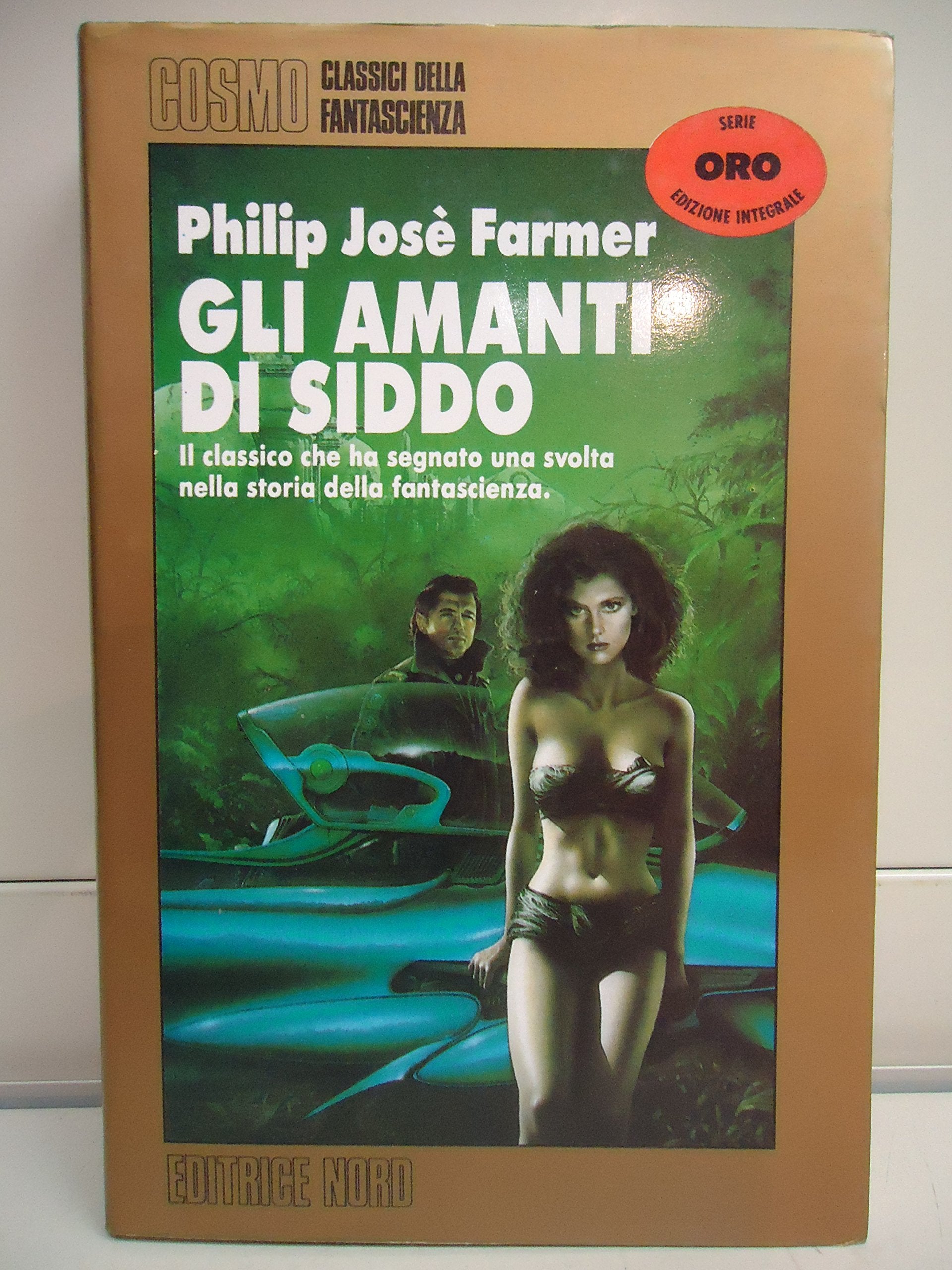 Gli amanti di Siddo book
