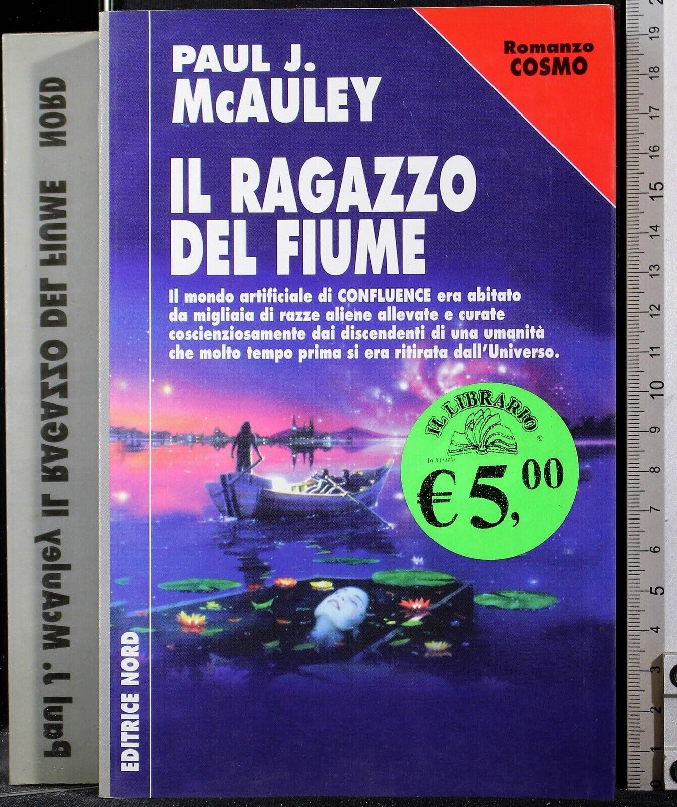Il ragazzo del fiume book