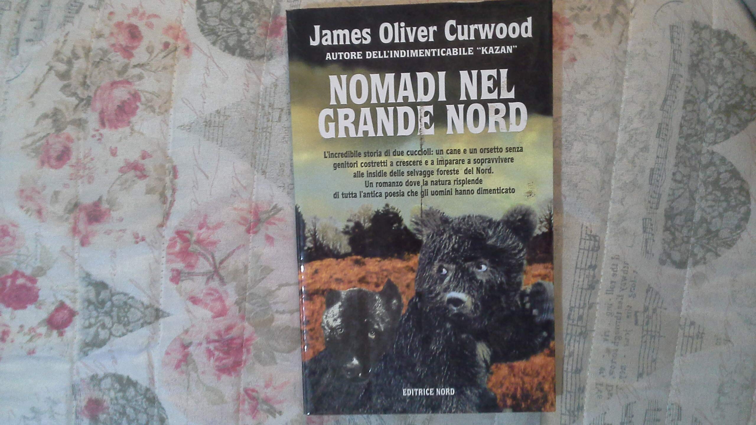 Nomadi nel grande Nord book