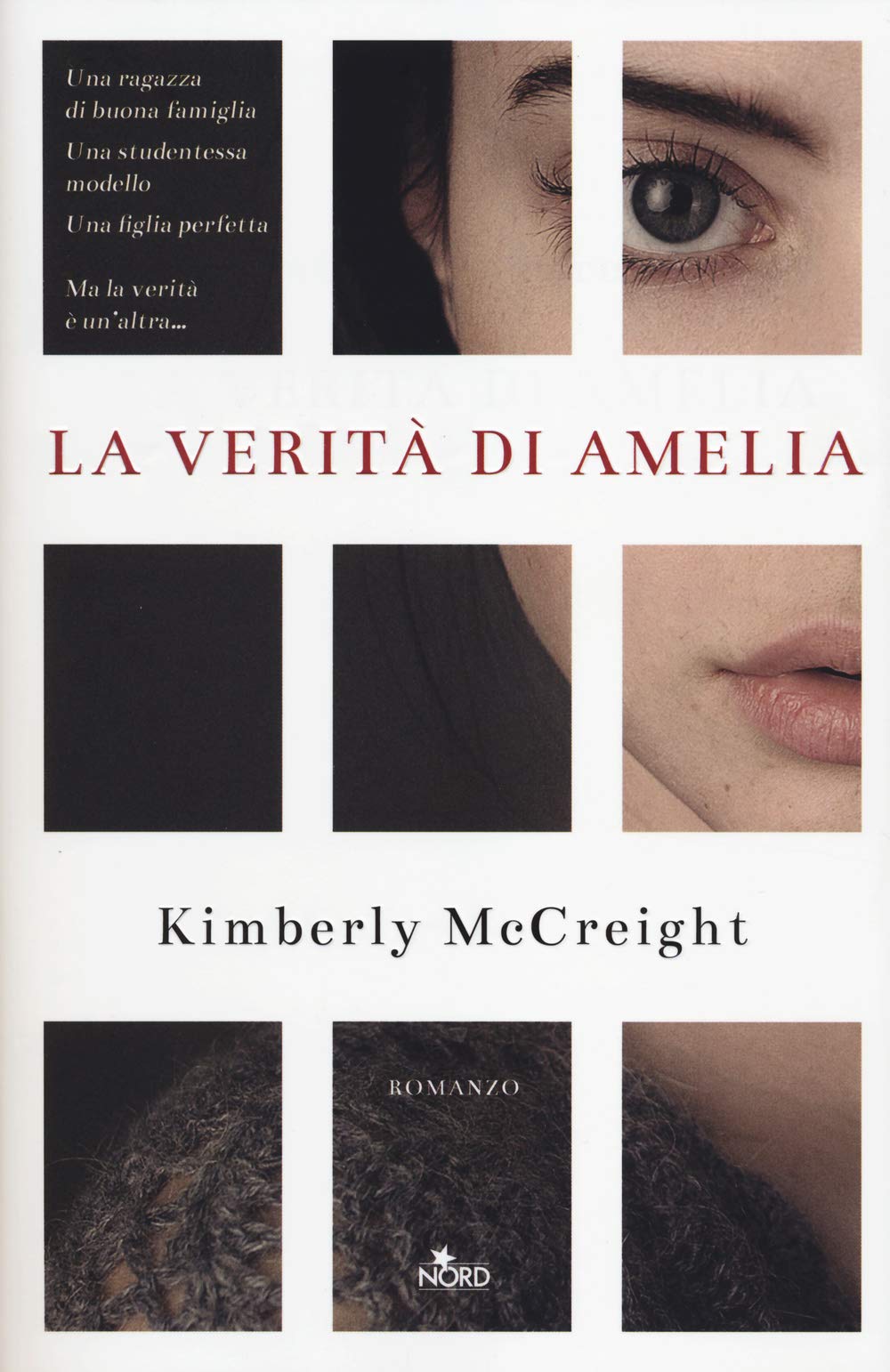 La verità di Amelia (Narrativa Nord) Contemporary literature