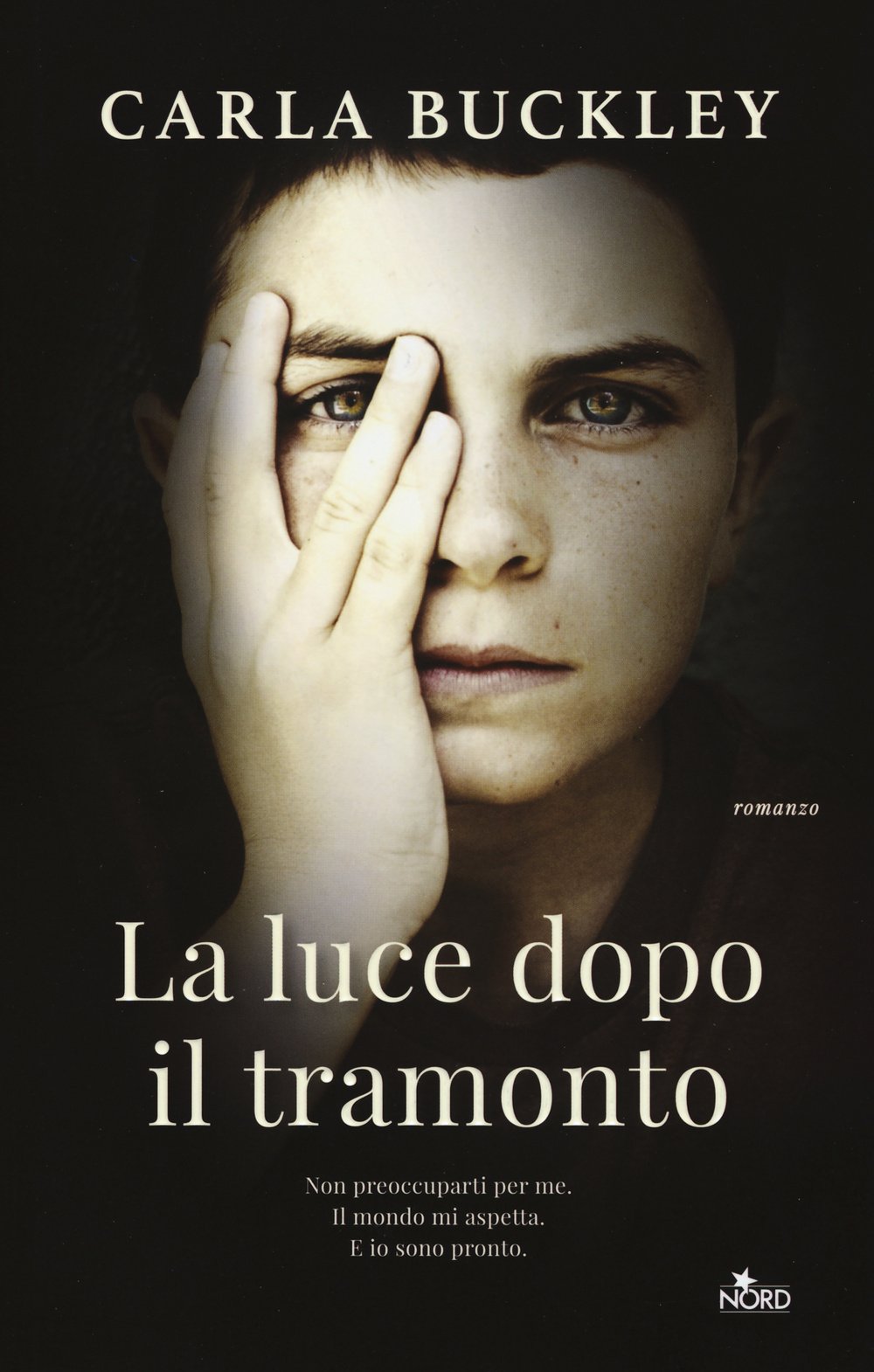 La luce dopo il tramonto (Narrativa Nord) Contemporary literature