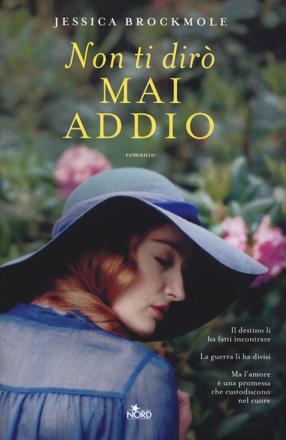 Non ti dirò mai addio (Narrativa Nord) Contemporary literature
