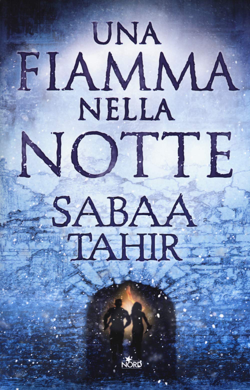 Una fiamma nella notte (Narrativa Nord) Contemporary literature