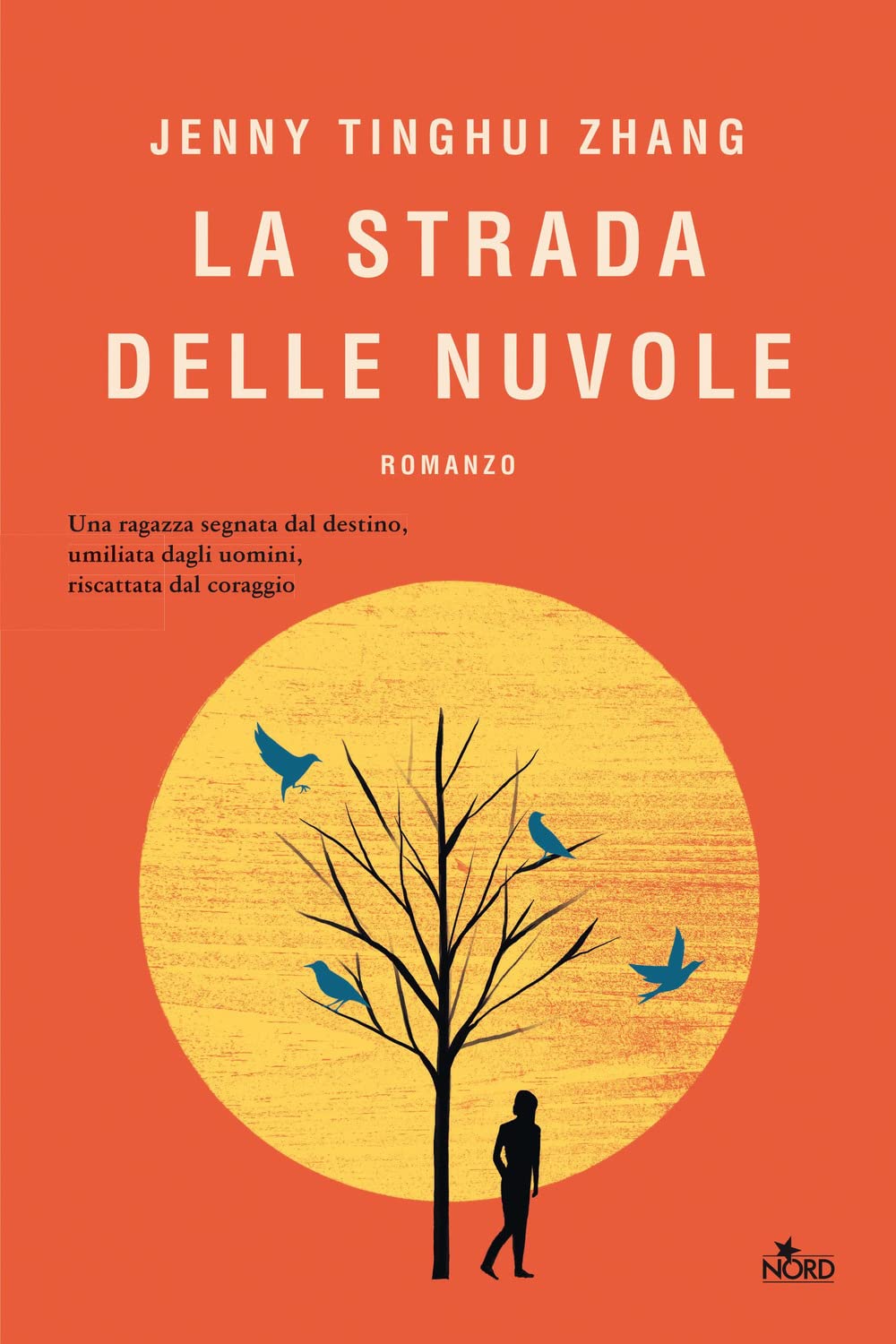 La strada delle nuvole (Narrativa Nord) Contemporary literature