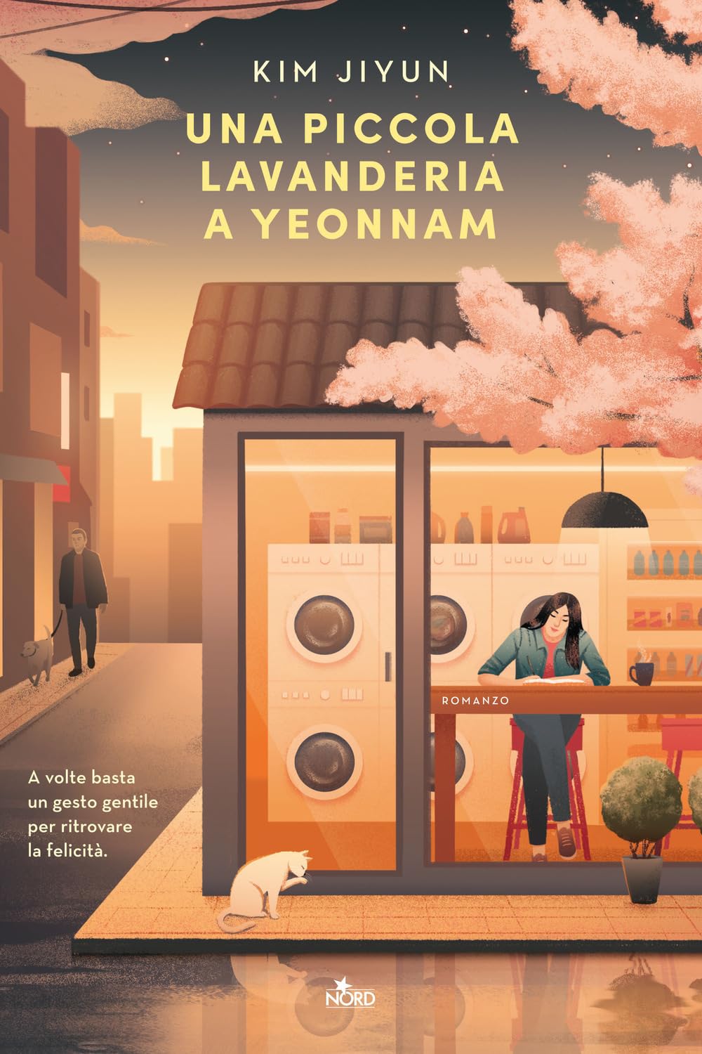 Una piccola lavanderia a Yeonnam book