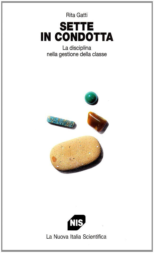 Sette in condotta. La disciplina nella gestione della classe book