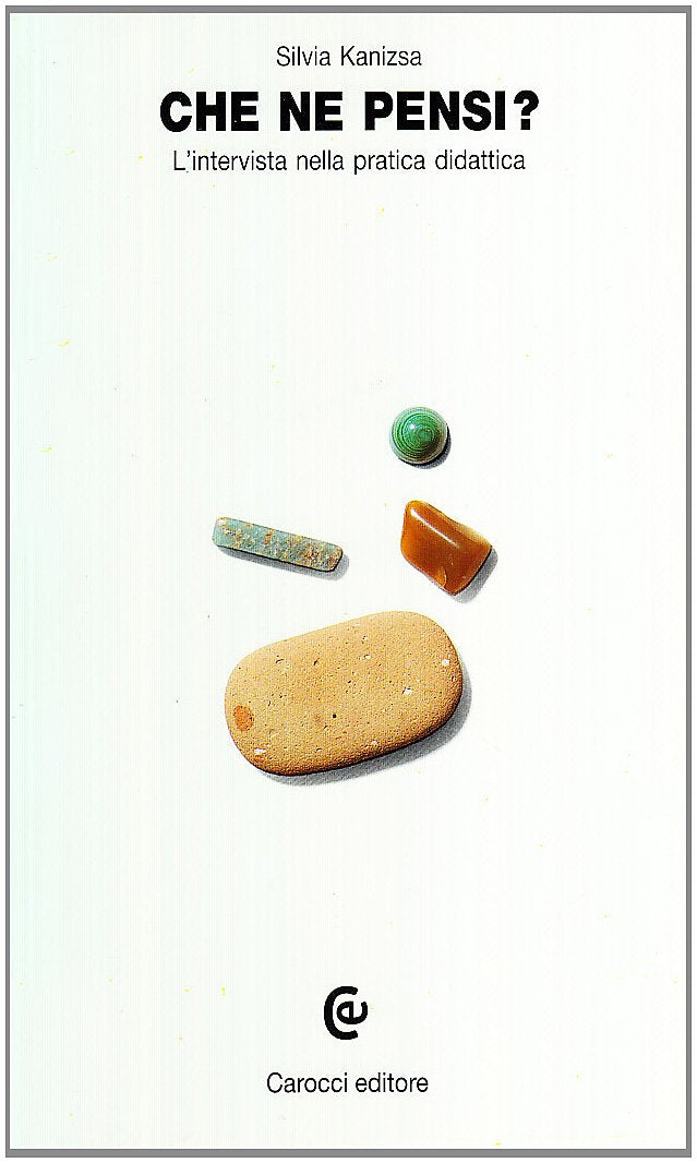Che ne pensi? L'intervista nella pratica didattica book