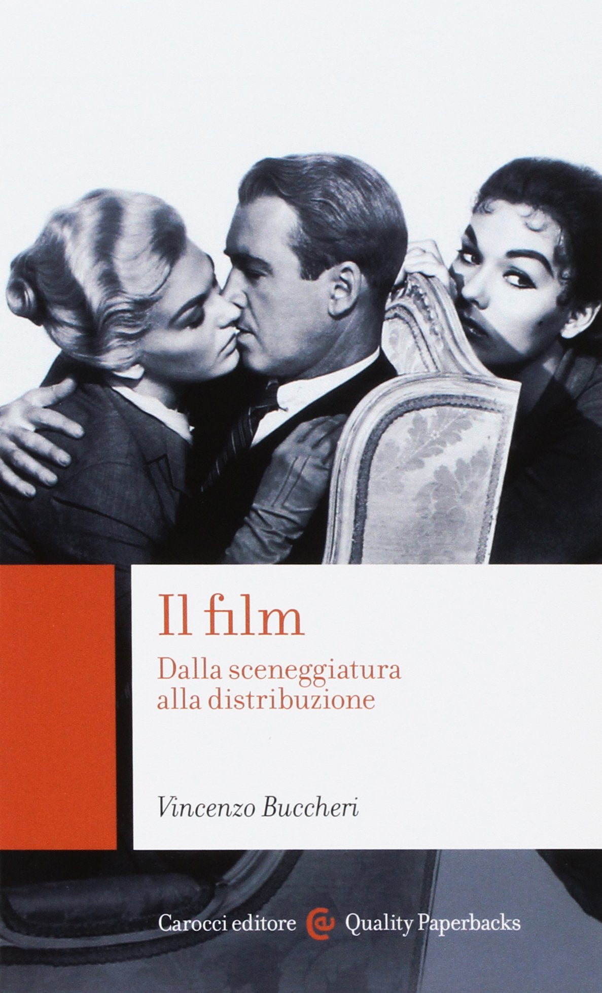Il film. Dalla sceneggiatura alla distribuzione (Quality paperbacks) Film, Art & Culture