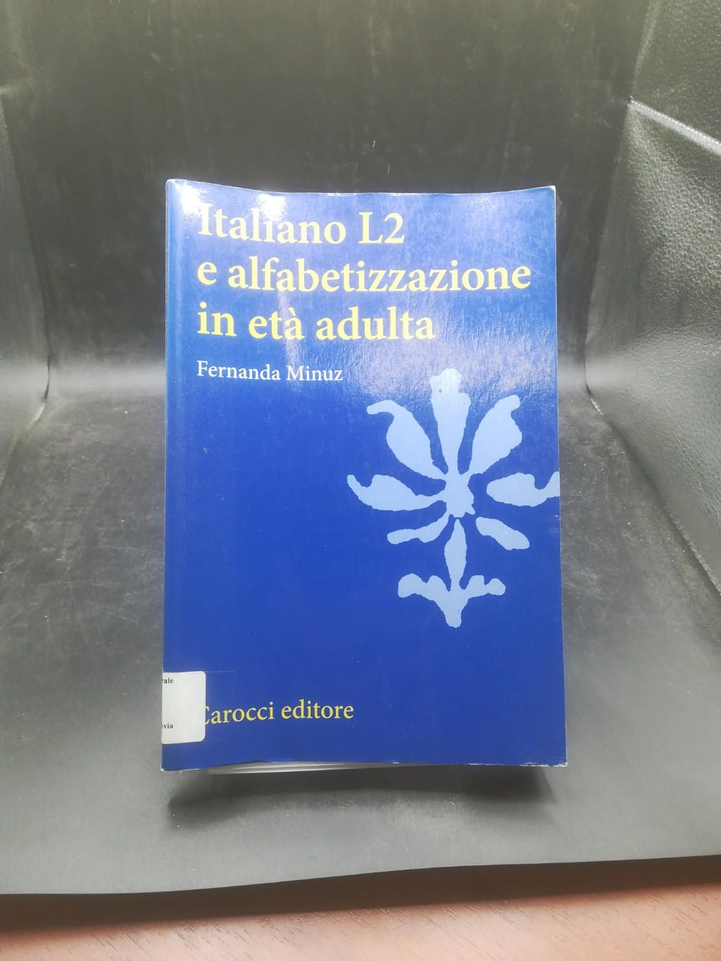 Italiano L2 e l'alfabetizzazione in età adulta book