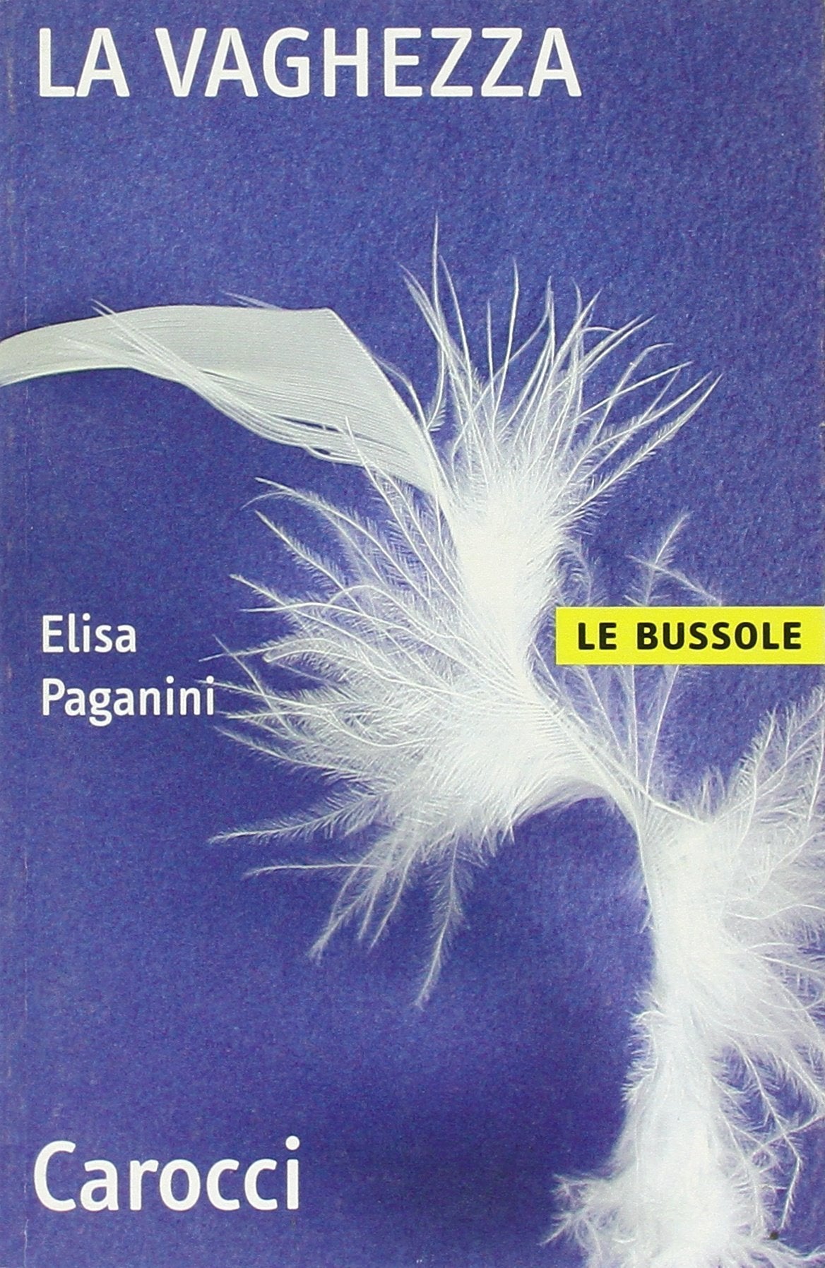 La vaghezza (Le bussole) Philosophy Books
