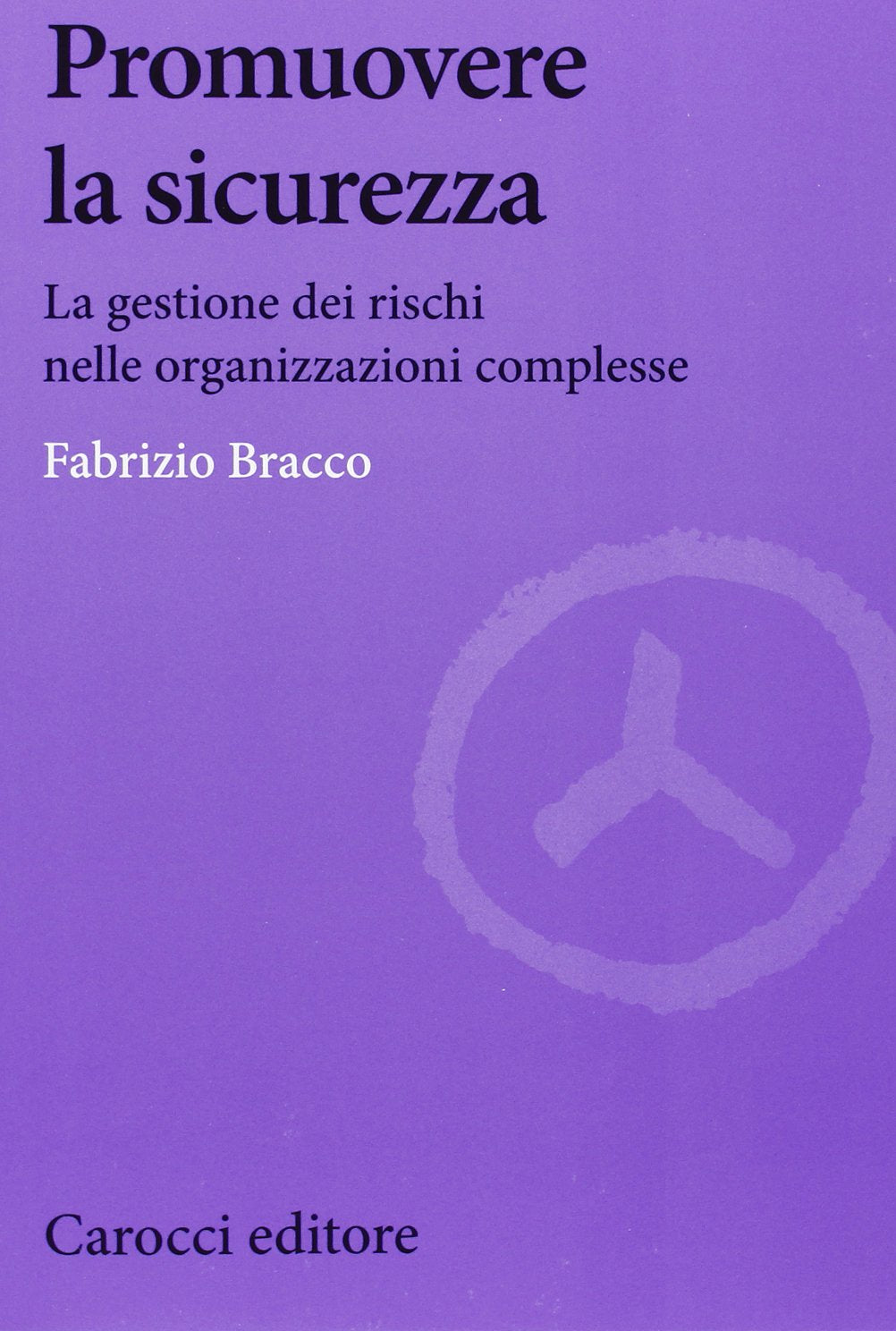 Promuovere la sicurezza. La gestione dei rischi nelle organizzazioni complesse (Biblioteca di testi e studi) Business, Finance & Career