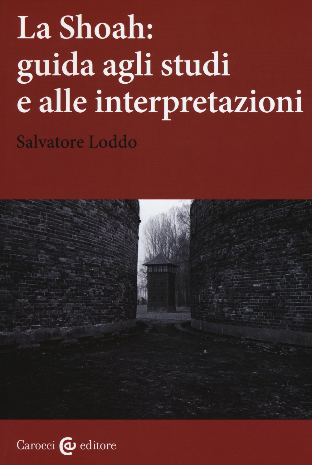 La Shoah: guida agli studi e alle interpretazioni German history