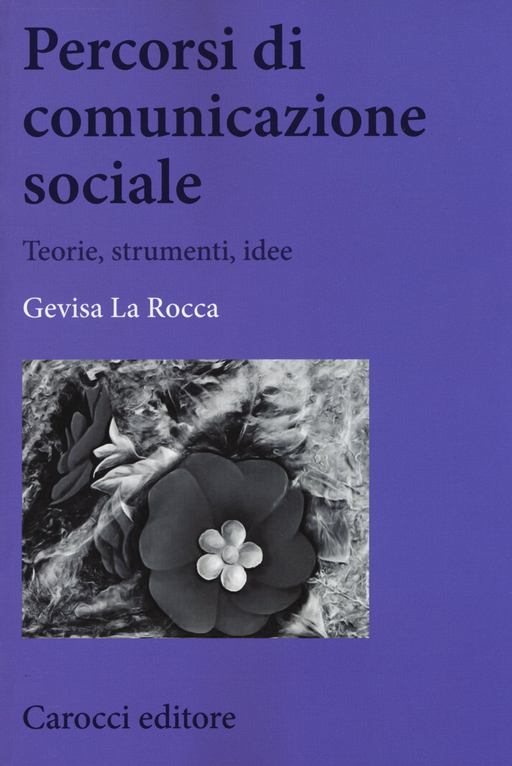 Percorsi di comunicazione sociale. Teorie, strumenti, idee (Biblioteca di testi e studi) Media & Communication