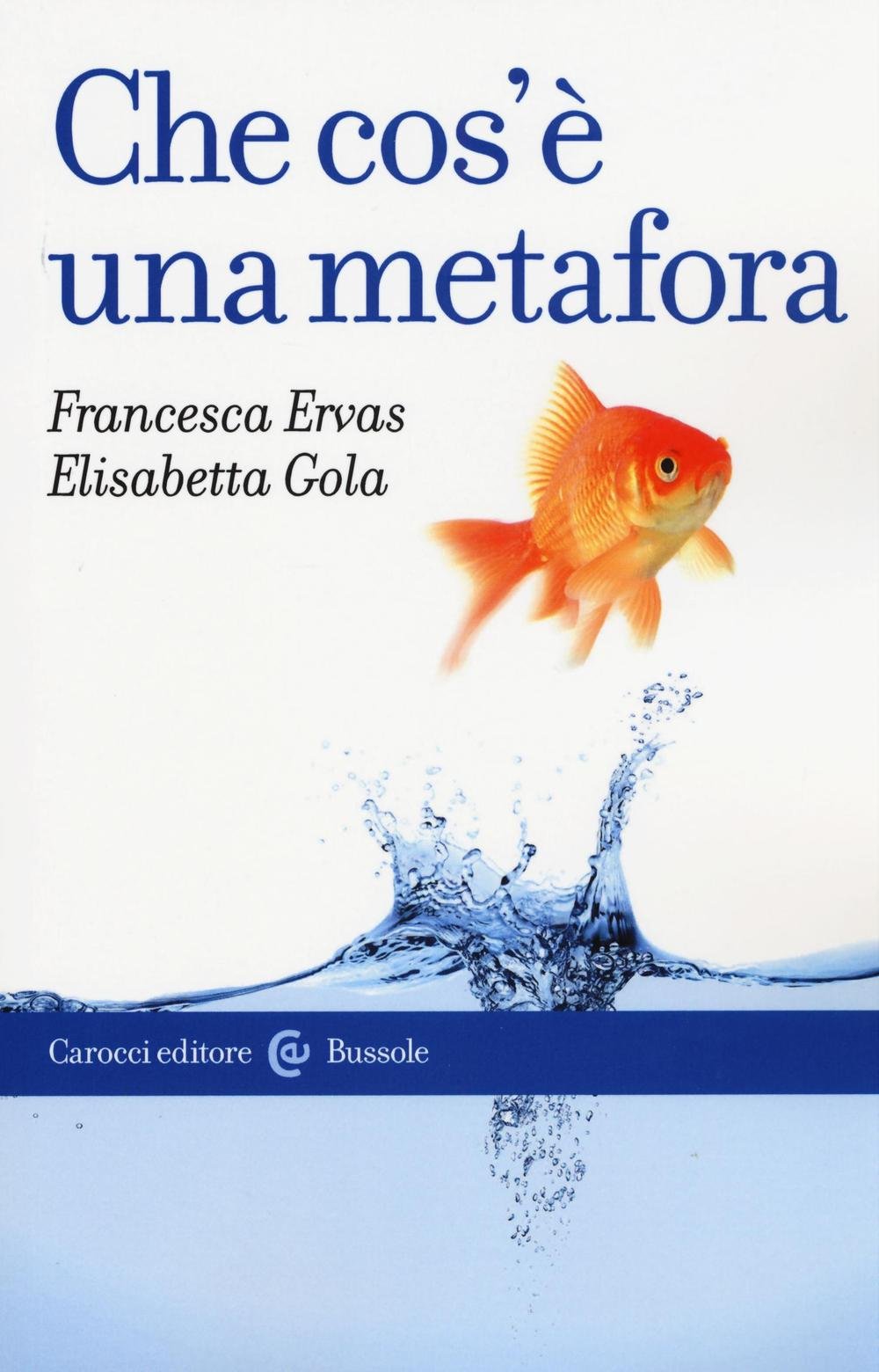 Che cos'è una metafora Social Sciences
