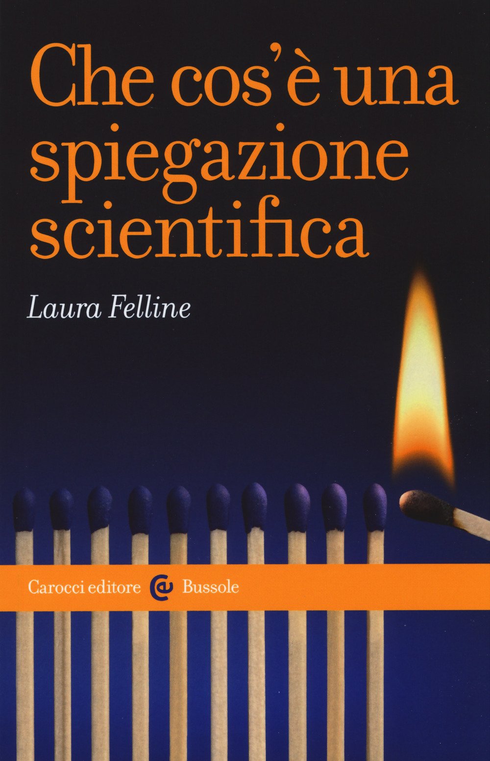 Che cos'è una spiegazione scientifica (Le bussole) Business & Technology