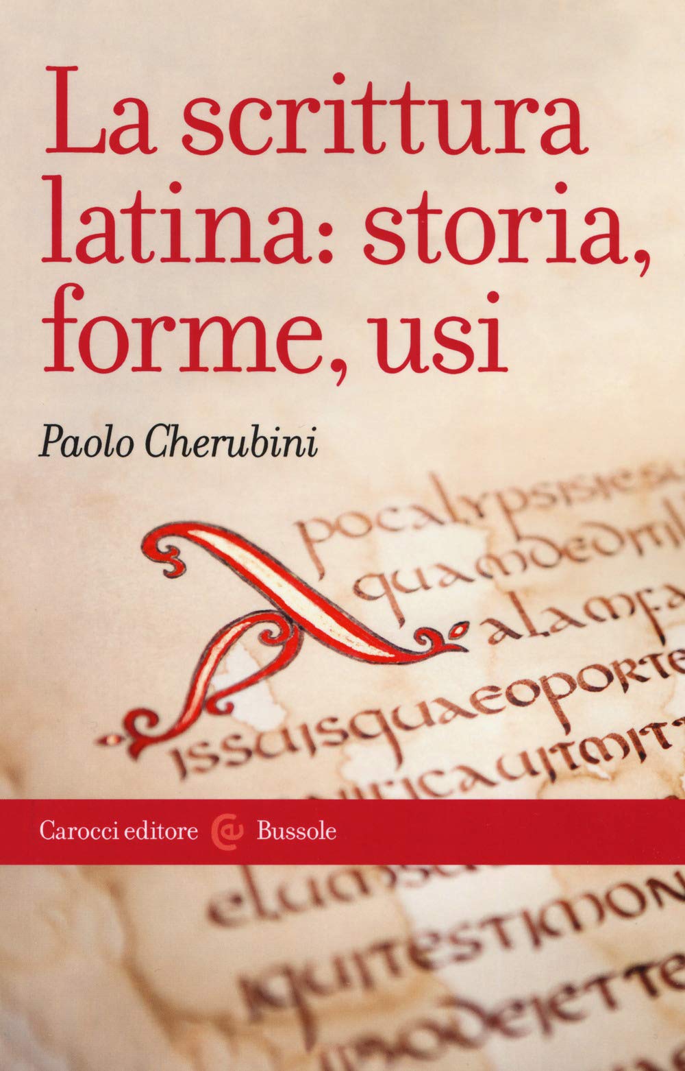 La scrittura latina: storia, forme, usi book