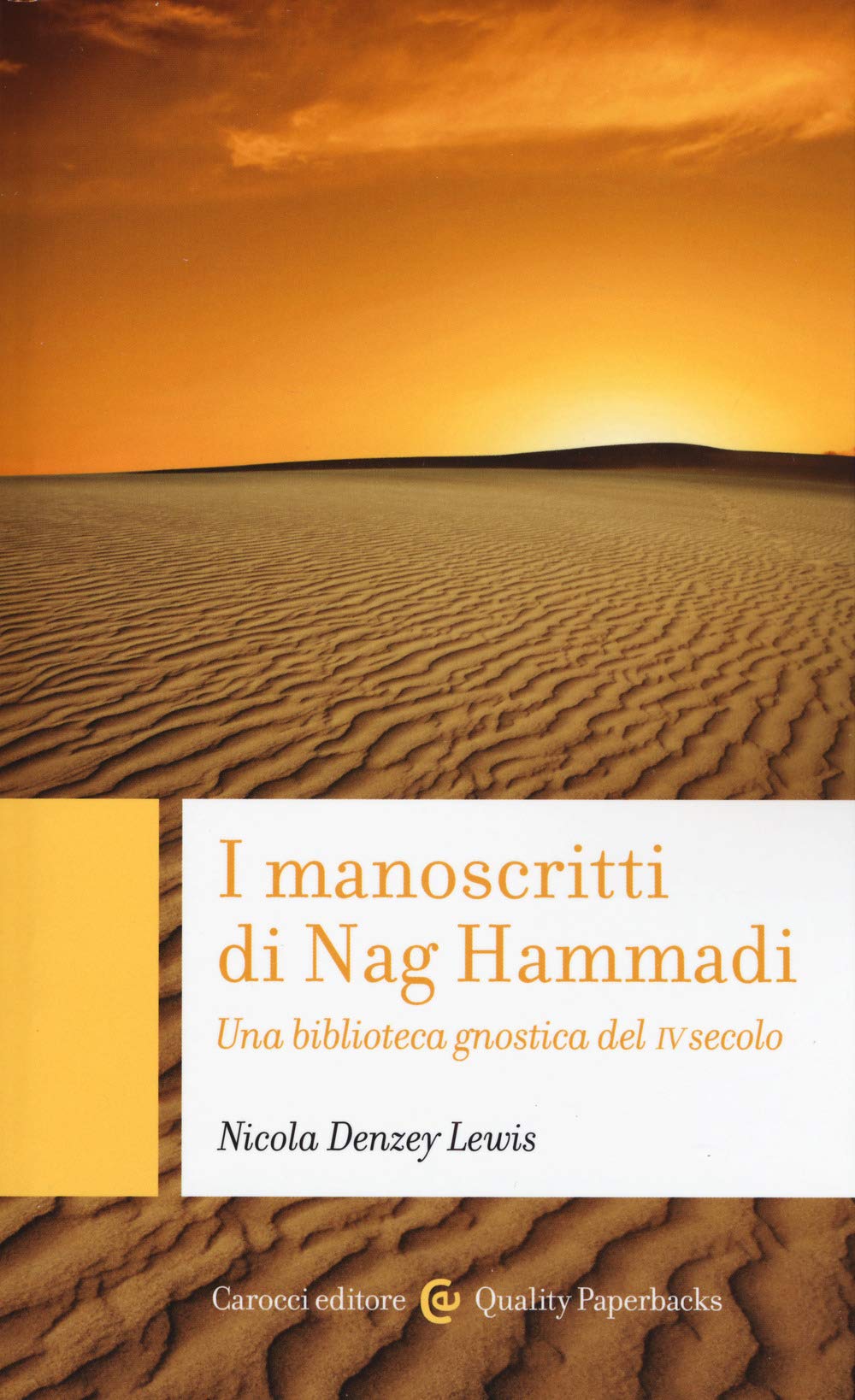 I manoscritti di Nag Hammadi. Una biblioteca gnostica del IV secolo book