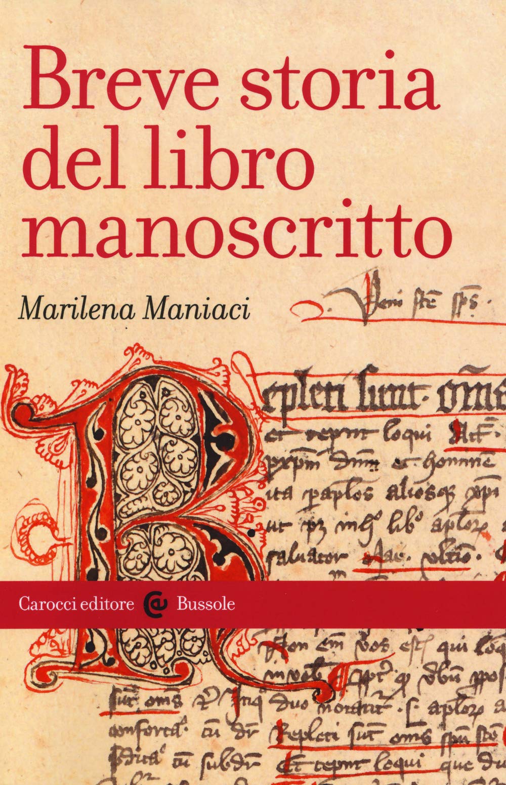 Breve storia del libro manoscritto book