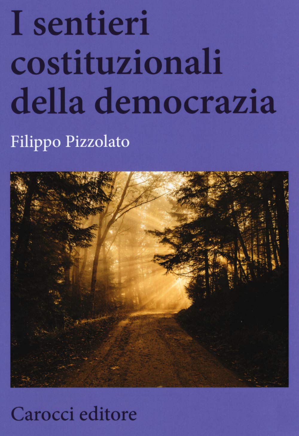 I sentieri costituzionali della democrazia book
