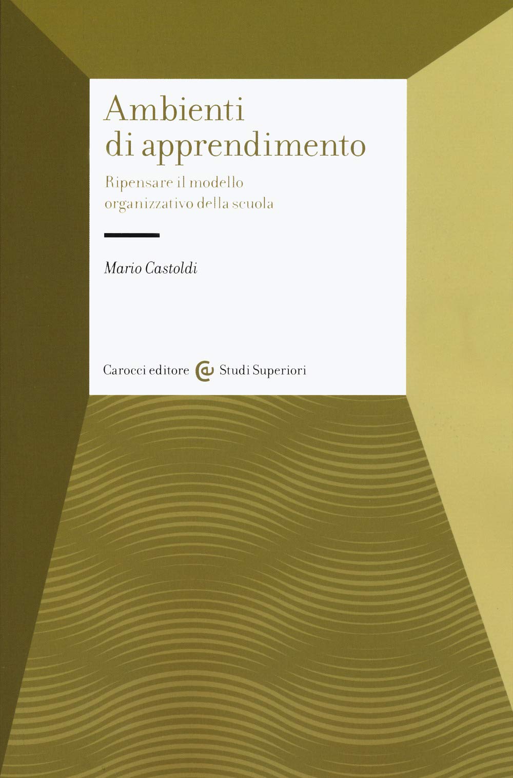Gli ambienti di apprendimento. Ripensare il modello organizzativo della scuola book