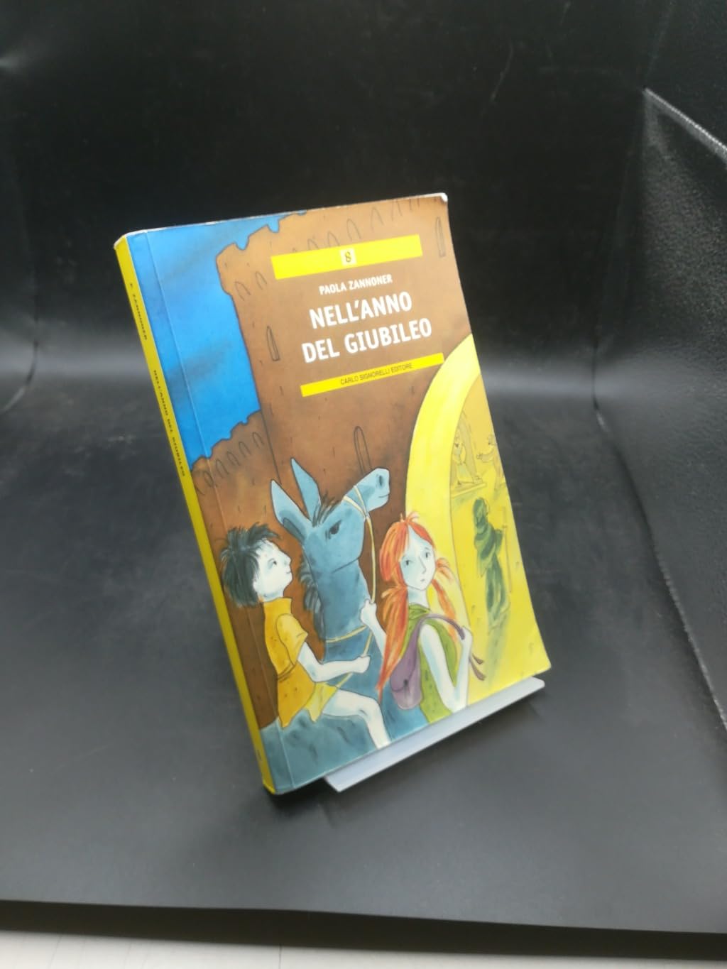 Nell'anno del giubileo book
