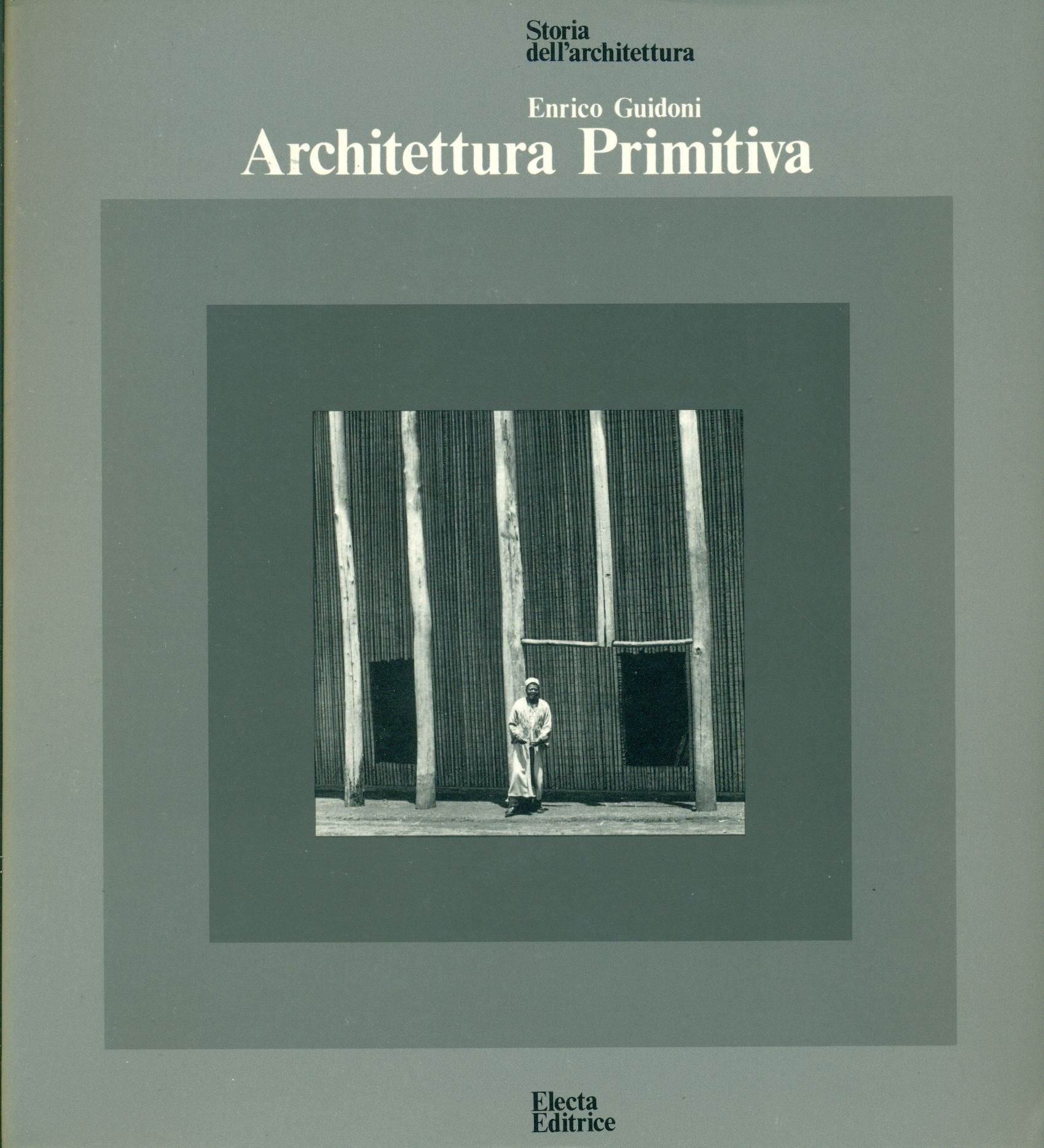 Architettura primitiva. Ediz. illustrata book