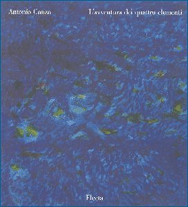 Conzo. L'avventura dei quattro elementi. Catalogo della mostra. Ediz. illustrata (Cataloghi di mostre) Books